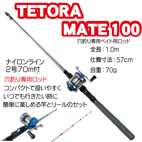 つり具 ｔｅｎ ｅｃ本店 堤防テトラ 穴釣りセット 疑似餌付 穴釣りロッド 小型ベイトリール ブラクリ パワーイソメ カサゴ アイナメ 穴釣り